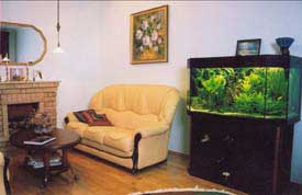 ���������� ���� � ������ �������.