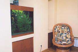 ���������� ���� � ������ �������.