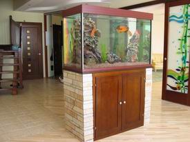 ���������� ���� � ������ �������.