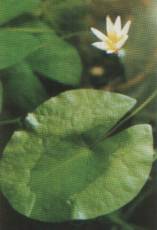 � ��� ��������� ���� ������ � �� ������.