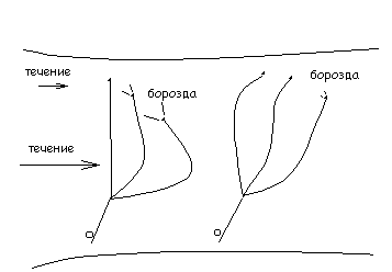 mor_cast06.gif (2699 bytes)
