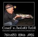   ,   
:  660794_comeg-ya-lyublyu-tebya_demotivators_ru - .jpg
: 1032
:  88,9 
ID:	199093