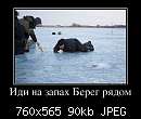   ,   
:  528558_idi-na-zapah-bereg-ryadom_demotivators_ru.jpg
: 1380
:  89,5 
ID:	252227