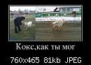   ,   
:  178186_kokskak-tyi-mog_demotivators_to.jpg
: 1523
:  81,3 
ID:	319523