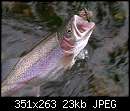   ,   
:  fish1.jpg
: 1531
:  22,6 
ID:	180353